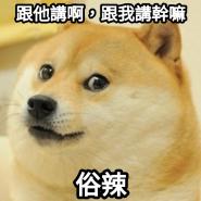狗新聞